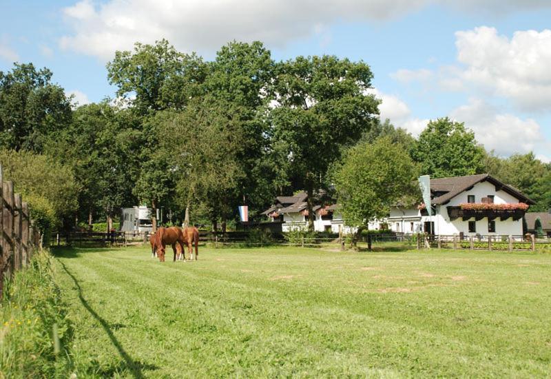 Landhotel Linden Am Venekotensee Niederkrüchten Eksteriør bilde